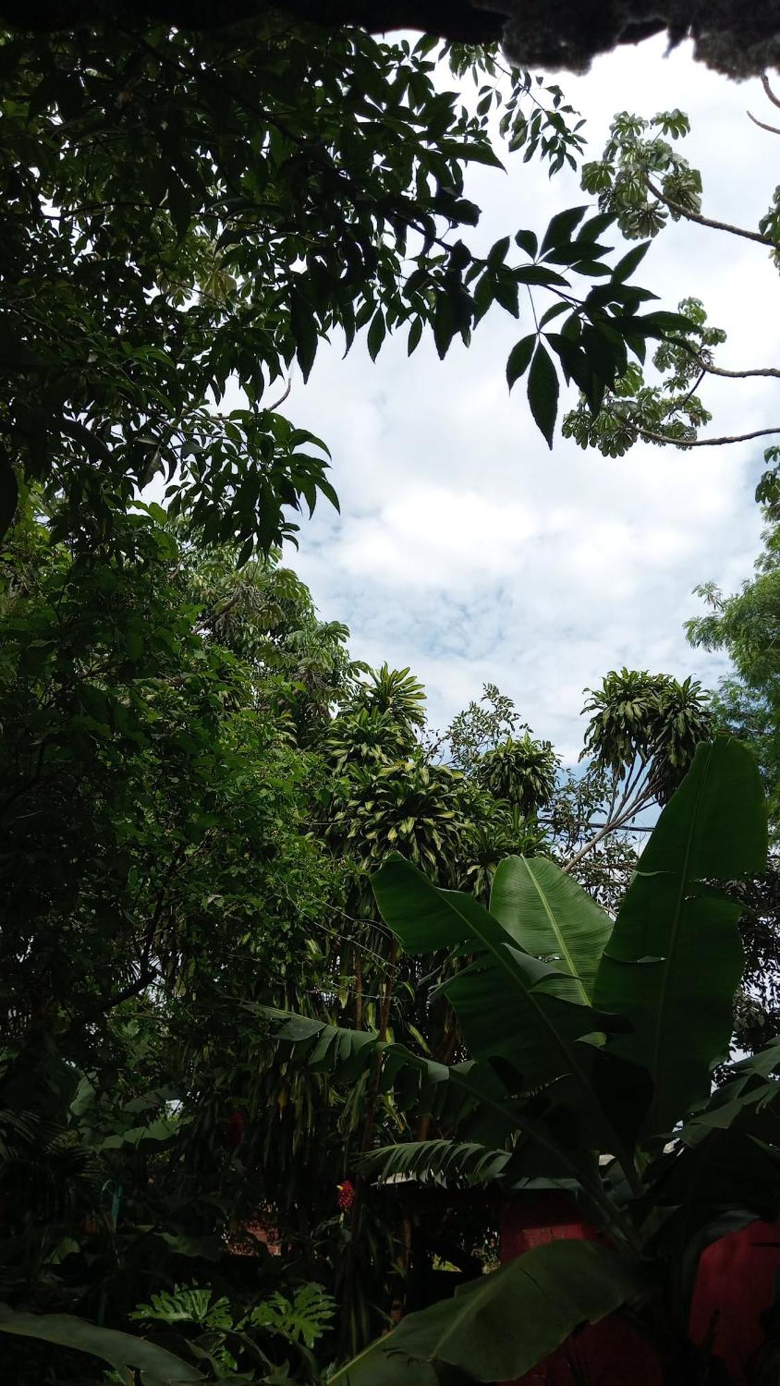 Posada Maria Iguazu Puerto Iguazú Eksteriør bilde
