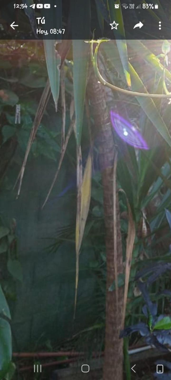 Posada Maria Iguazu Puerto Iguazú Eksteriør bilde