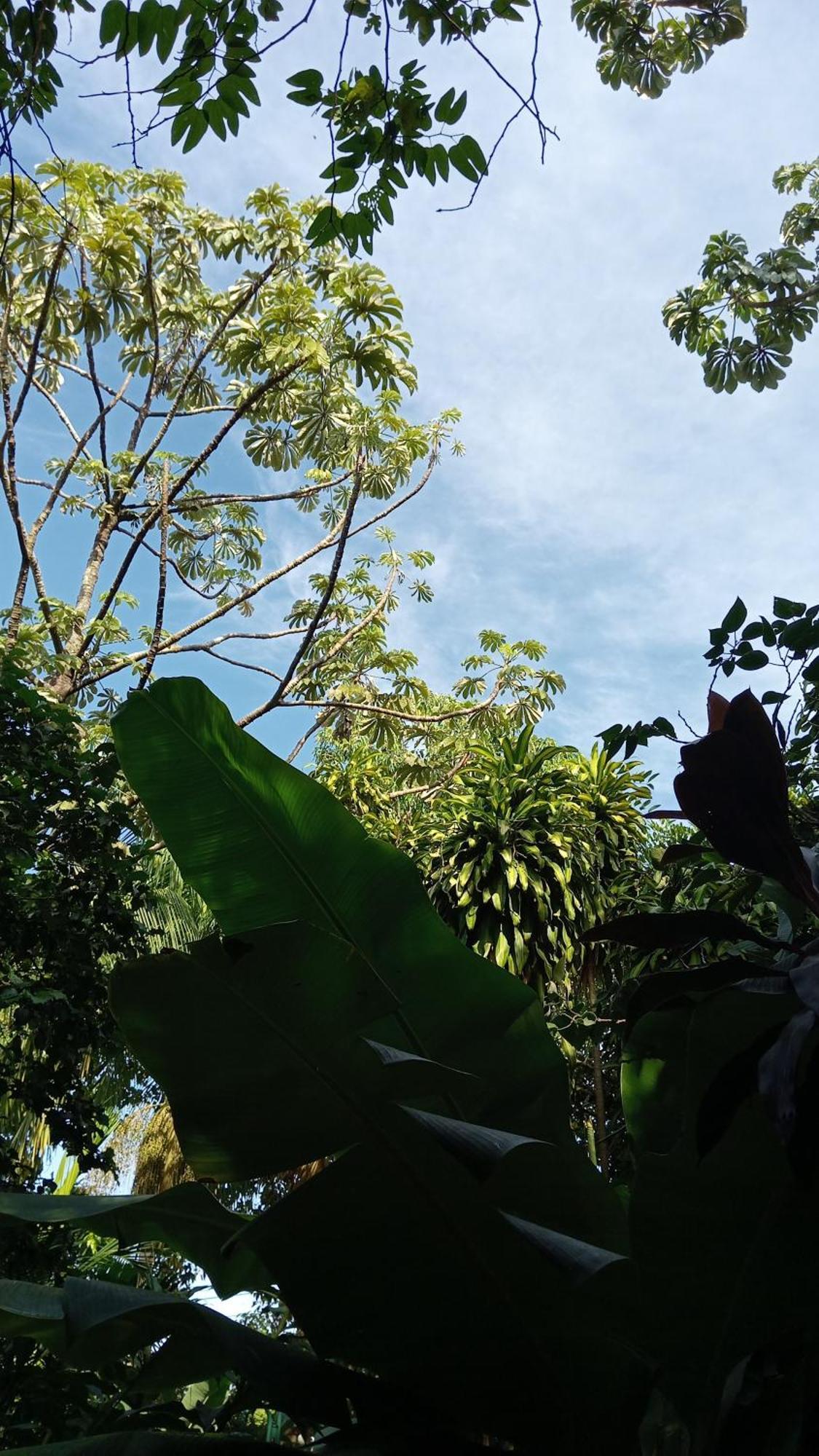 Posada Maria Iguazu Puerto Iguazú Eksteriør bilde