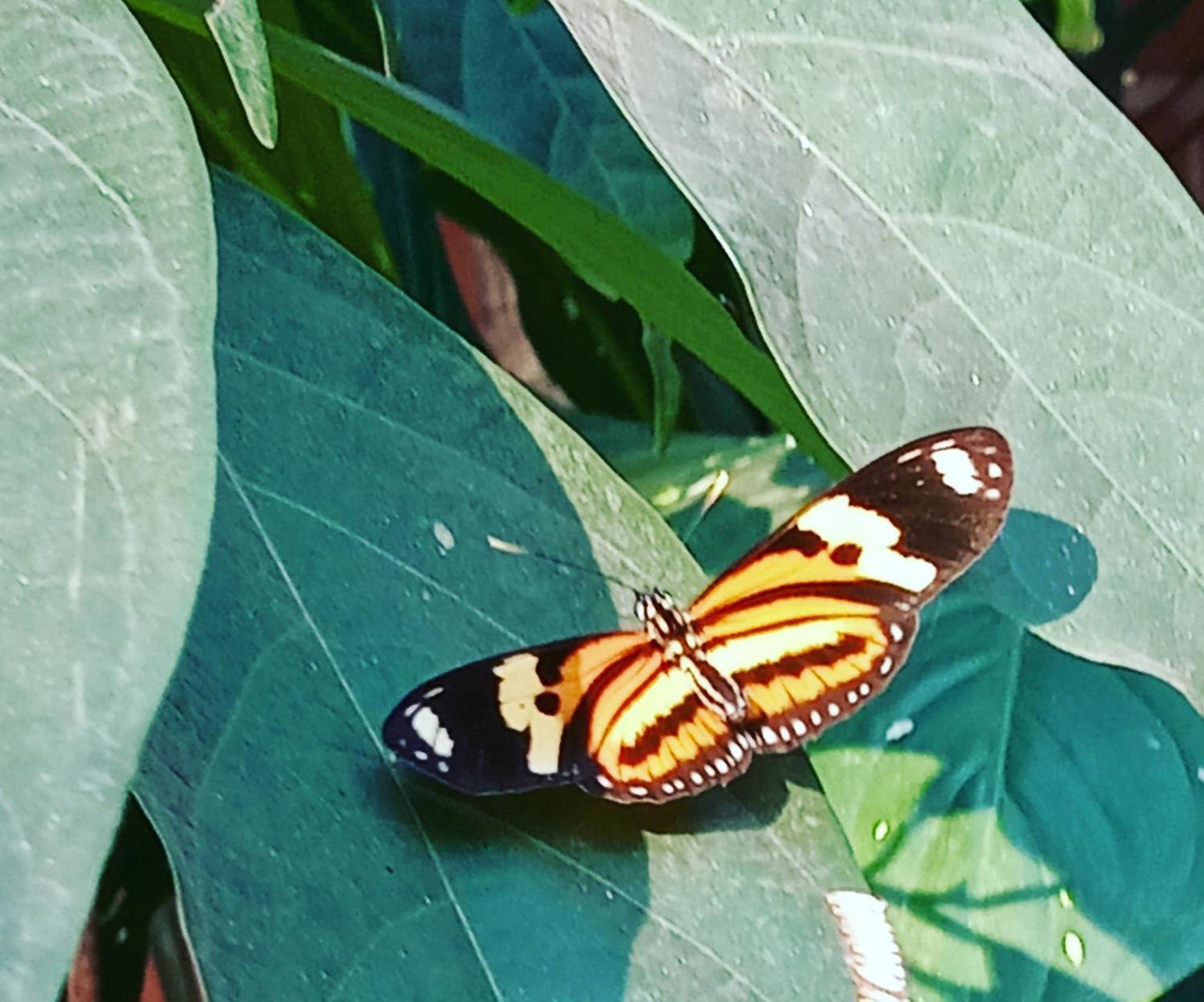 Posada Maria Iguazu Puerto Iguazú Eksteriør bilde