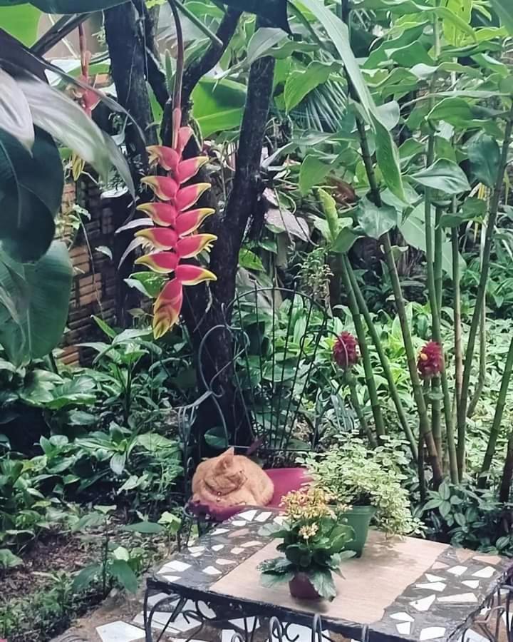 Posada Maria Iguazu Puerto Iguazú Eksteriør bilde
