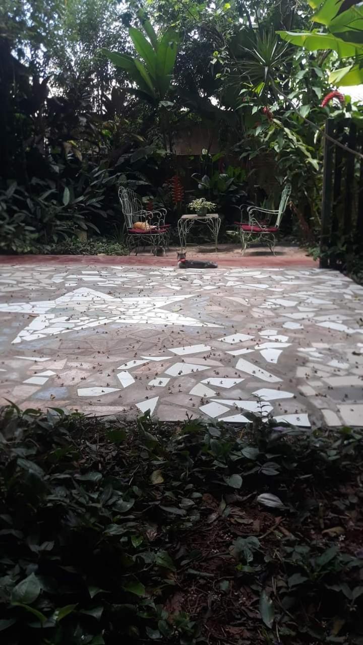 Posada Maria Iguazu Puerto Iguazú Eksteriør bilde