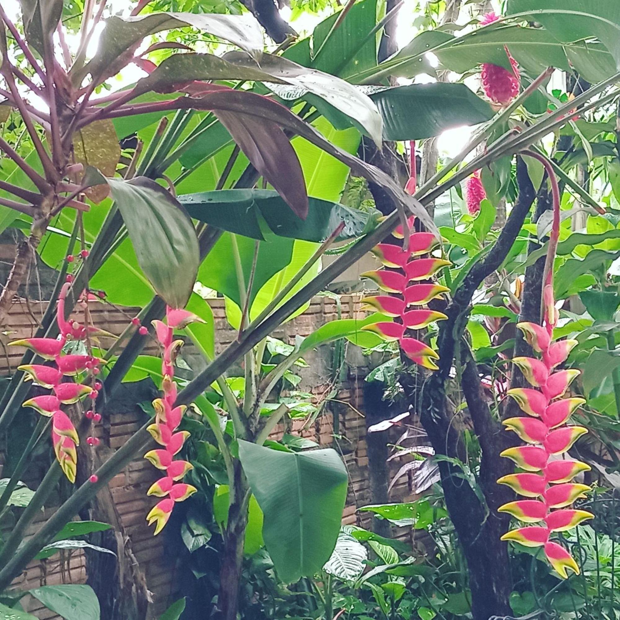 Posada Maria Iguazu Puerto Iguazú Eksteriør bilde