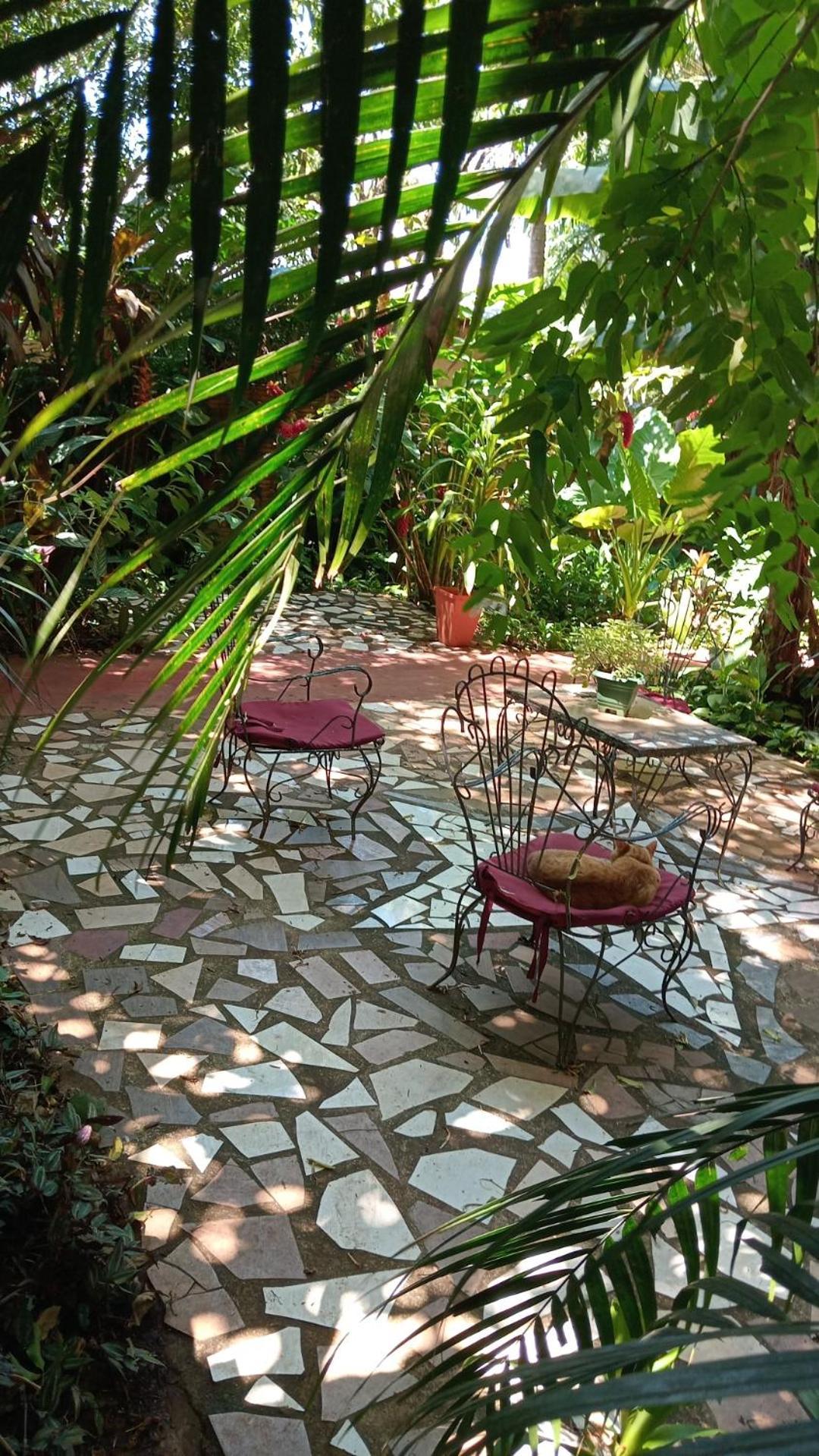 Posada Maria Iguazu Puerto Iguazú Eksteriør bilde